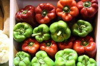 Almería concentró el 70% de las exportaciones de pimiento en 2016, con ventas por 648 millones