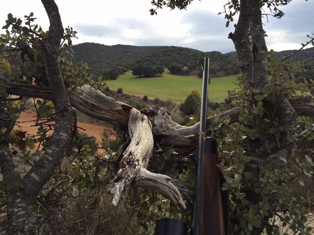 Uno de los puestos de espera de caza en Aragón.