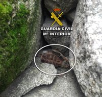 La Guardia Civil recoge en Moaña una granada de la Guerra Civil