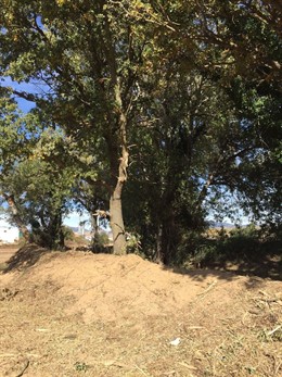Barranco de la Alfóndiga, después de la actuación.