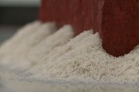 La naturaleza, eje de 'Todas las palabras para decir roca' en Helga de Alvear de Cáceres