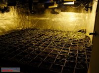 Dos detenidos 2 veces en una semana por robos y tráfico de drogas en el Tarragonès