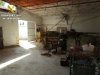 Dos detenidos por robar 12 lechones y maquinaria agrícola valorada en 7.500 € en Alicante