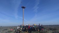 Junta fomenta la reintroducción del águila pescadora en el parque de Los Toruños de El Puerto (Cádiz) con un poste nido