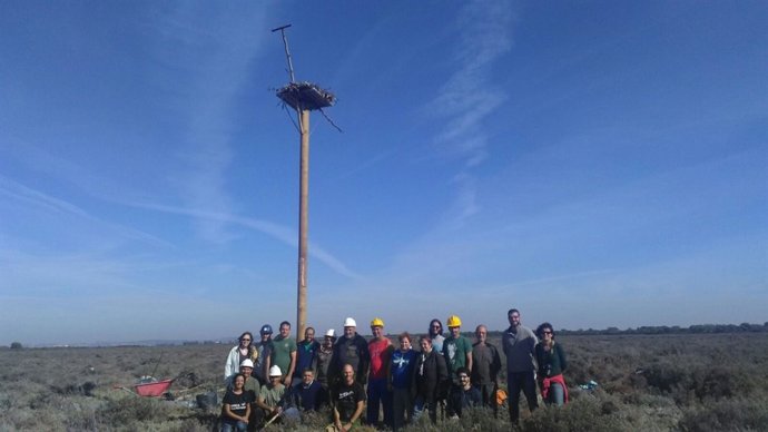 Poste nido de Los Toruños