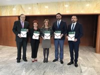 Impulsan ‘Buenas prácticas en el deporte’ para promover la educación en valores en el fútbol base