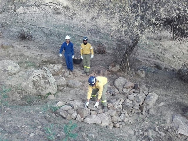 Trabajos de urgencia en montes afectados por incendios