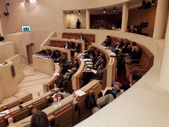 Pleno del  Parlamento 