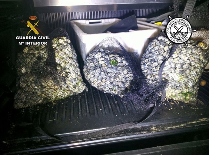 Nota De Prensa (Marisqueo Furtivo)