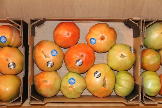 Tomate huevo de toro