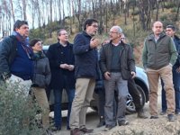 El Gobierno restaura las zonas afectadas por los incendios de Artana, Alcudia, Segorbe y Altura