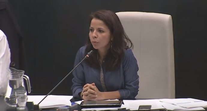 Erika Rodríguez, concejala del PSOE en el Ayuntamiento de Madrid