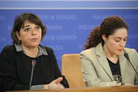 IU presentará una ley para que Junta reconozca su deuda con ayuntamientos si no se incluye esta enmienda en Presupuesto