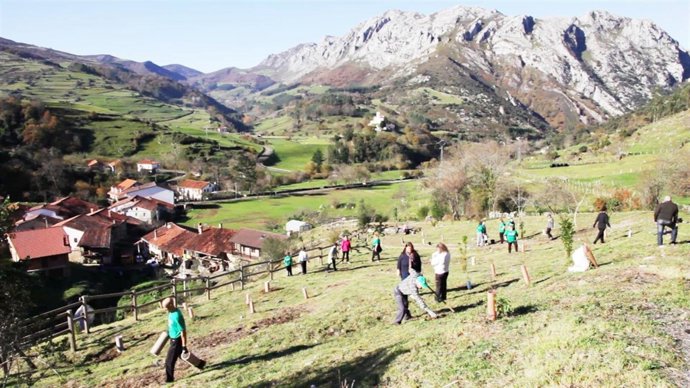 Jornada de voluntariado para crear el Parque Botánico de Quintanilla