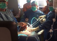 El Hospital de Bellvitge realiza la primera extirpación de tiroides por la boca en España