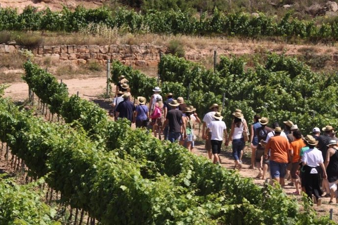 Ruta del Vino de Lleida