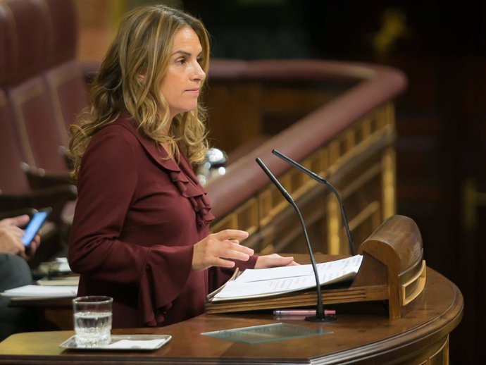 Susana Sumelzo, diputada del PSOE 