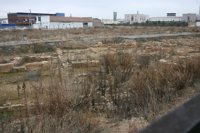 El PR+ pide que se interpreten y muestren las ruinas romanas de Varea para "facilitar su preservación"