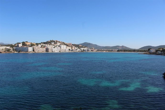 Costa y praderas de posidonia de Santa Ponça