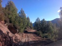 La CHE mejora las pistas forestales de los montes que gestiona en la provincia de Huesca