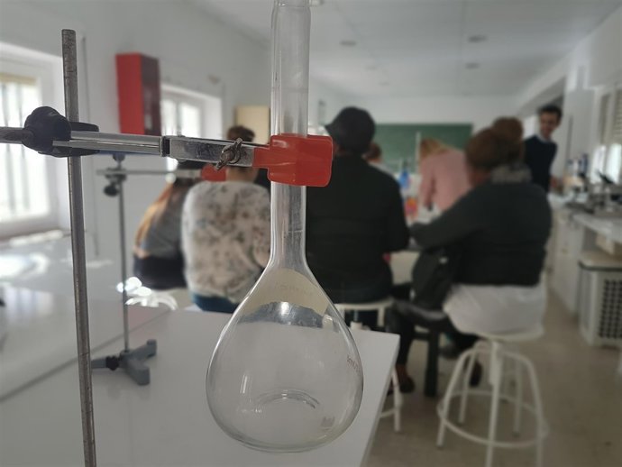 Quince mujeres víctimas de violencia participan en un curso de formación.