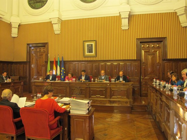 Pleno de presupuestos                        