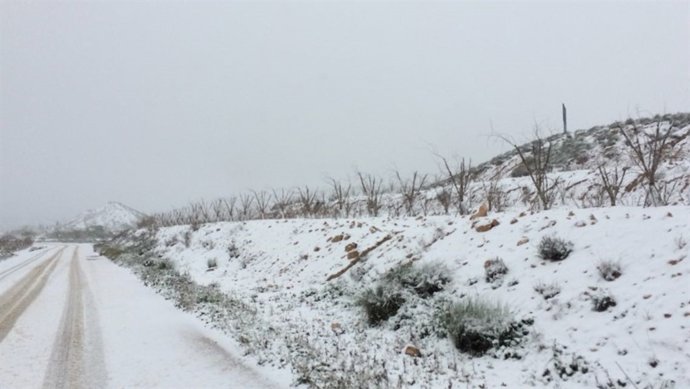 Nieve, nevada, frío