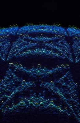 Fractal con forma de mariposa obtenido en simulación cuántica