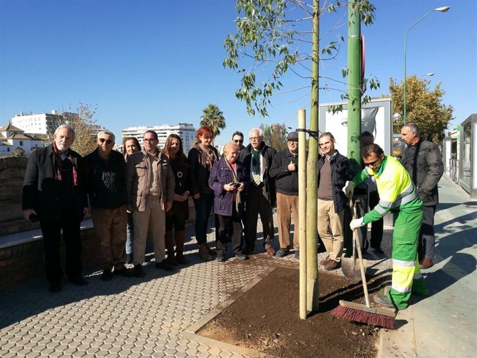 Plantación en el paseo de las Delicias.