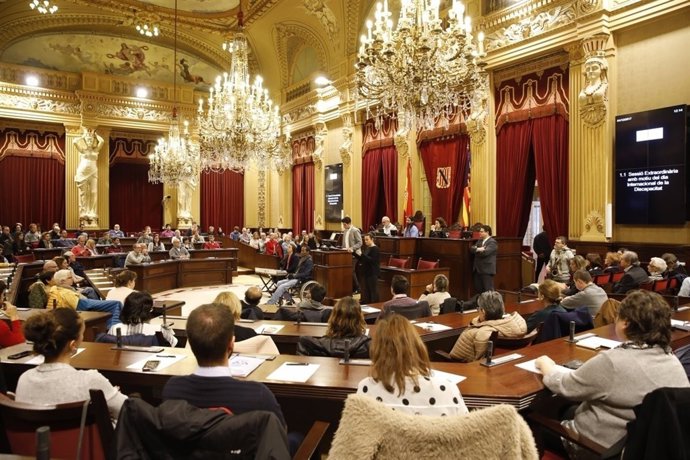 Sesión extraordinaria del Día Internacional de las Personas con Discapacidad