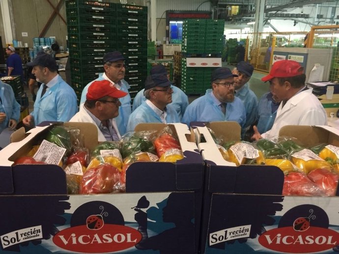 Sánchez de Haro visita las instalaciones de Vicasol