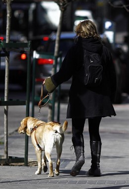 Discapacidad, discapacitado, ciego, personas ciegas con perro guía, lazarillo