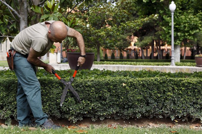 13,5 Millones A La Integración Laboral De Personas Con Discapacidad.