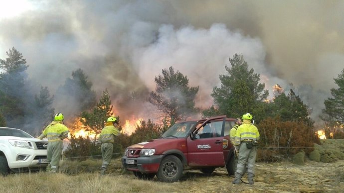 Declarado un incendio forestal en Torre la Ribera.