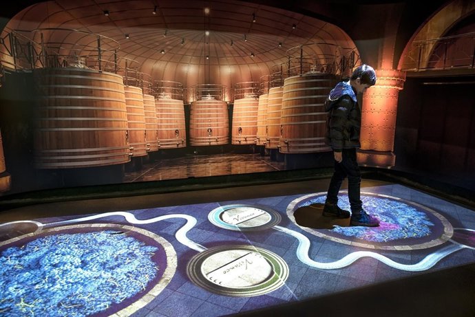 Un niño en actividad en Vivanco