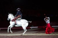 'Córdoba Ecuestre' participa ante más de 15.000 personas en la XI edición del 'Budapest Horse Show'