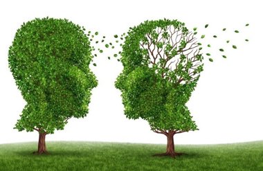 Foto: Diseñan una herramienta para determinar el riesgo de Alzheimer (THINKSTOCK) 
