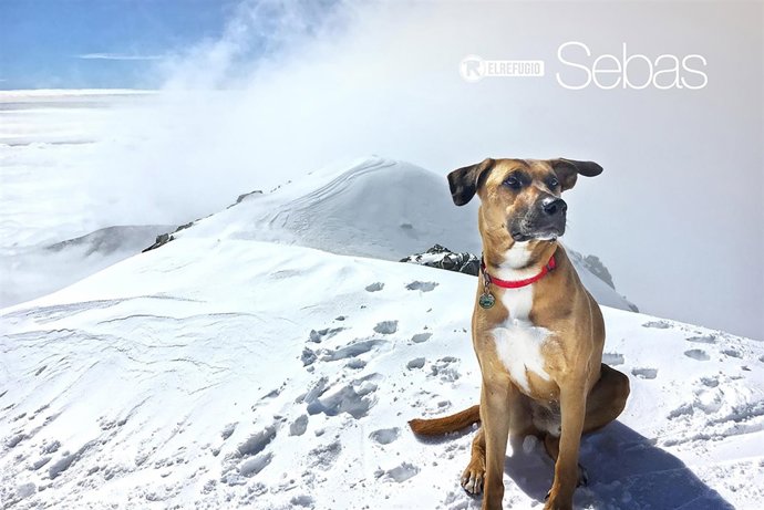 Calendario de El Refugio 2018