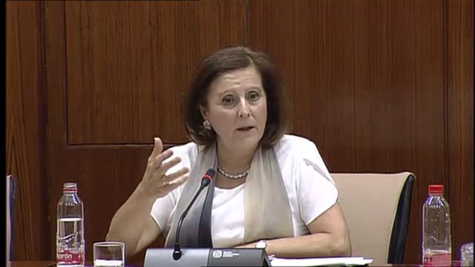 María José Sánchez Rubio en la Comisión de Igualdad