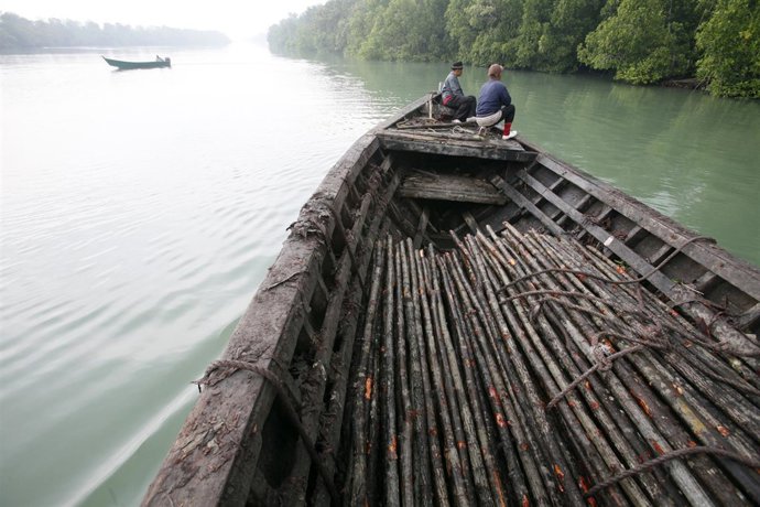 Los residentes de Fiyi repueblan los manglares para combatir el cambio climático