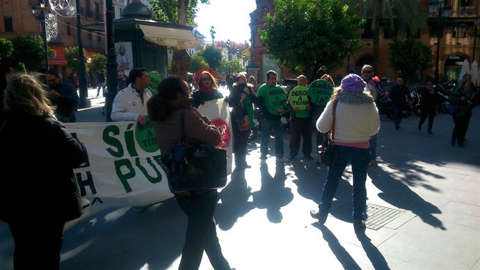 Concentración de la PAH.