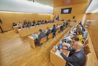 El Cabildo de Tenerife propone 17 medidas para favorecer la atención e integración de las personas con discapacidad