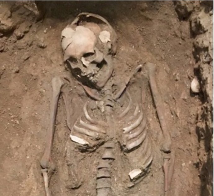 Esqueleto hallado en las excavaciones de la Plaza Manises 7