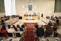 El pleno pide un estudio de viabilidad para un 'bypass' en la actuación de El Puche (Almería)