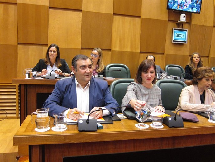 La portavoz de Cs Zaragoza, Sara Fernández.            