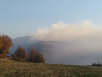 Gobierno de Aragón y UME seguirán trabajando en el incendio de Torre la Ribera