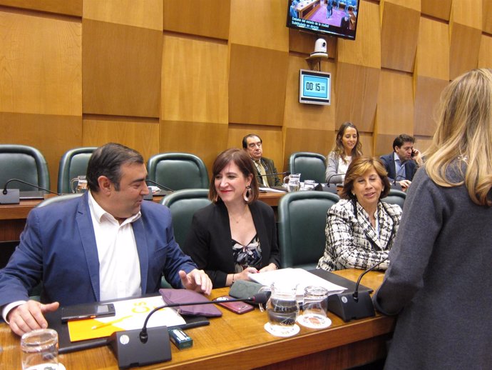 Concejales de Ciudadanos en el pleno del Ayuntamiento de Zaragoza