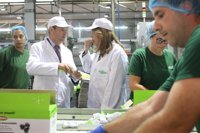 La Junta destina 45 millones a proyectos de modernización de 113 pymes agroalimentarias andaluzas