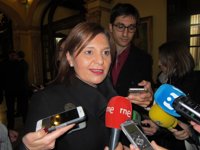 Bonig no ve necesidad de una reforma constitucional pero cree "positivo" hablar de "aspectos que tenemos todos claros"