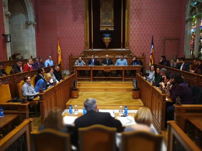 Pleno Consell de Mallorca